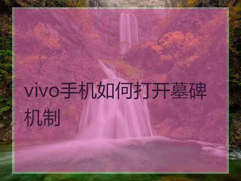 vivo手机如何打开墓碑机制