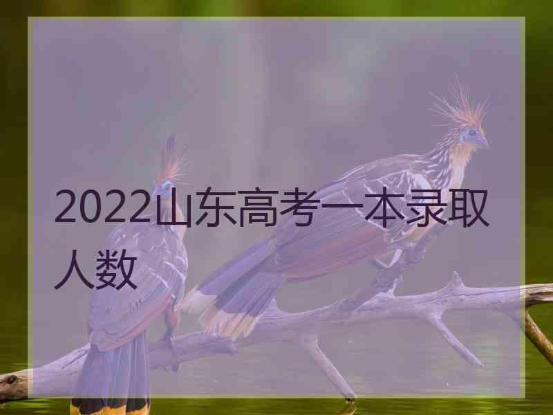 2022山东高考一本录取人数