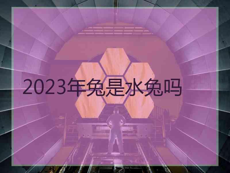 2023年兔是水兔吗