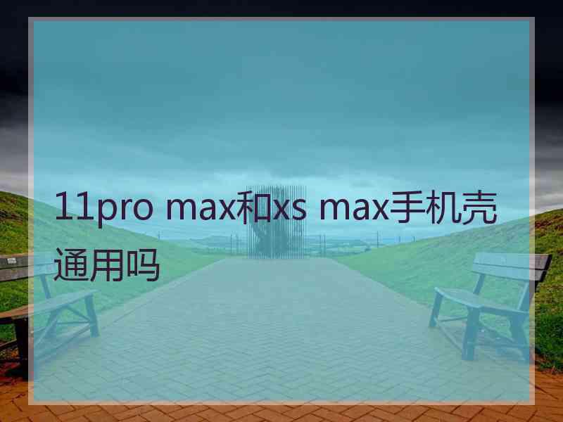 11pro max和xs max手机壳通用吗