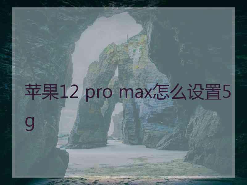 苹果12 pro max怎么设置5g