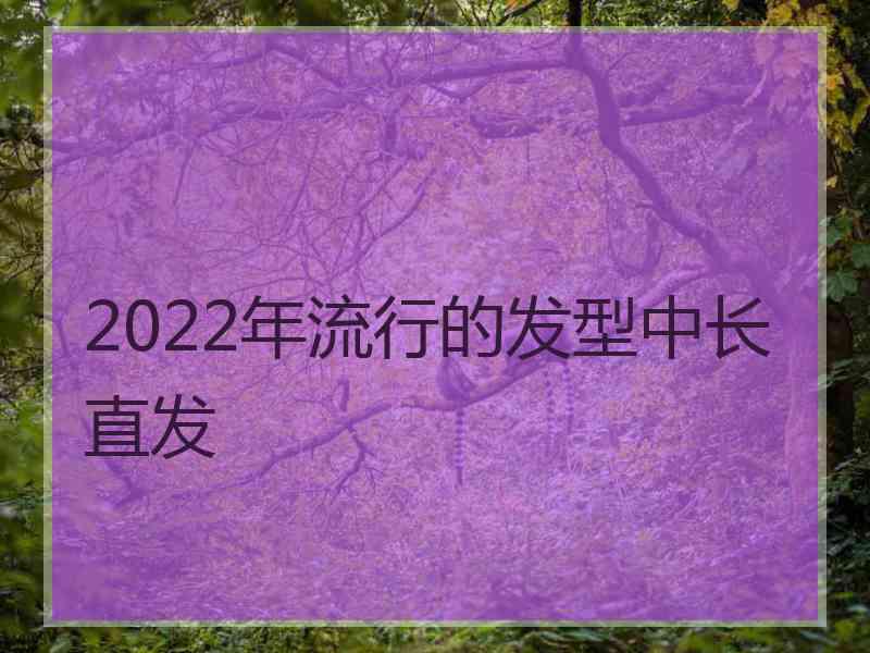 2022年流行的发型中长直发