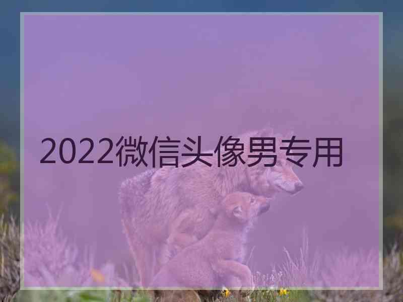 2022微信头像男专用