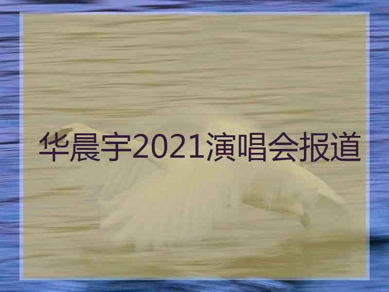 华晨宇2021演唱会报道