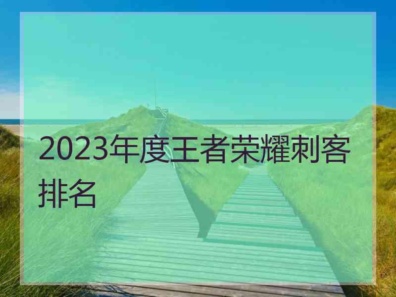 2023年度王者荣耀刺客排名