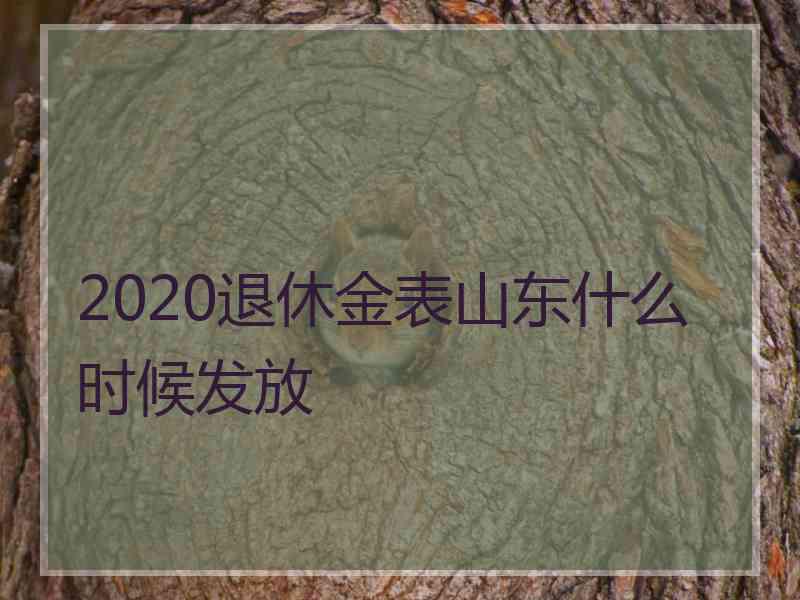 2020退休金表山东什么时候发放