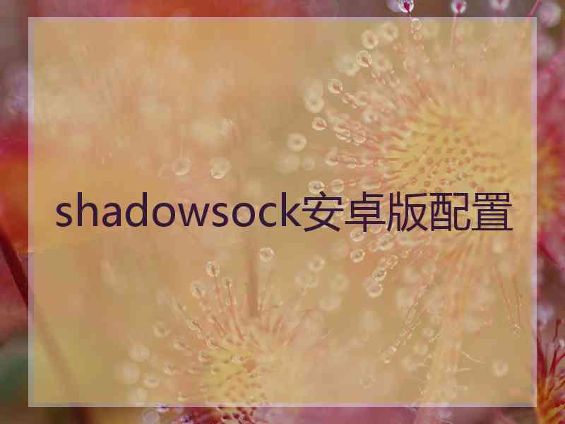 shadowsock安卓版配置