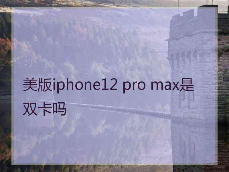 美版iphone12 pro max是双卡吗