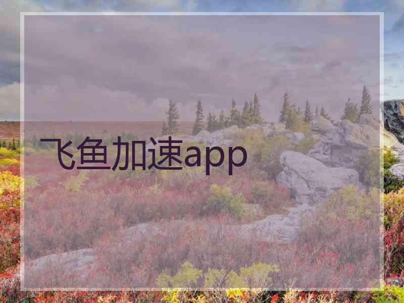 飞鱼加速app