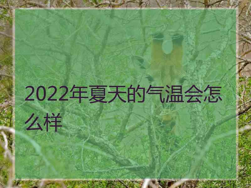 2022年夏天的气温会怎么样