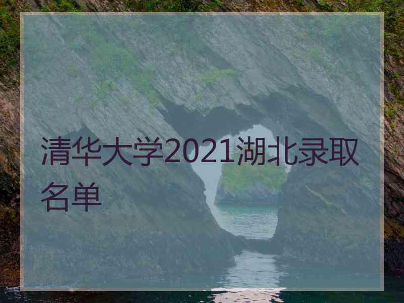 清华大学2021湖北录取名单