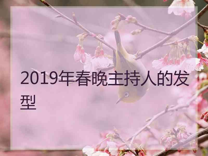 2019年春晚主持人的发型