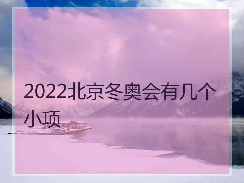 2022北京冬奥会有几个小项