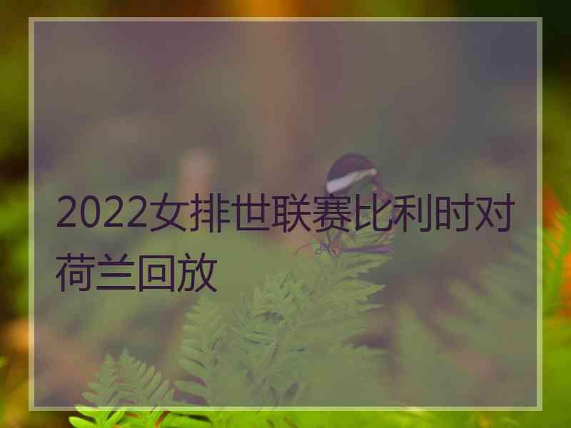 2022女排世联赛比利时对荷兰回放