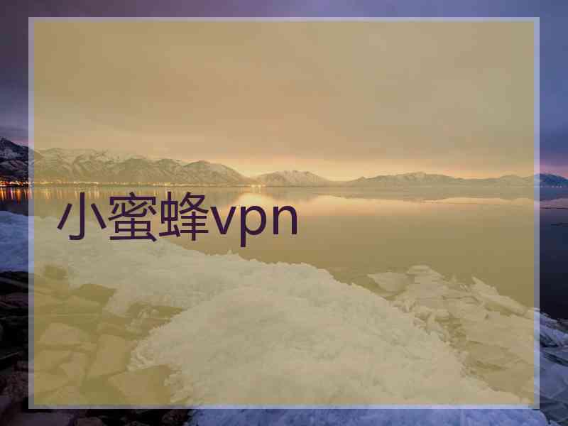 小蜜蜂vpn