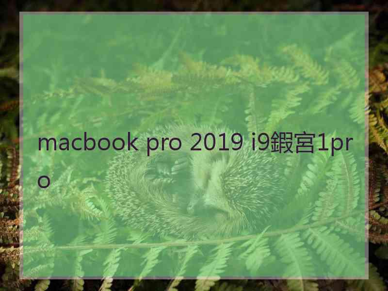 macbook pro 2019 i9鍜宮1pro