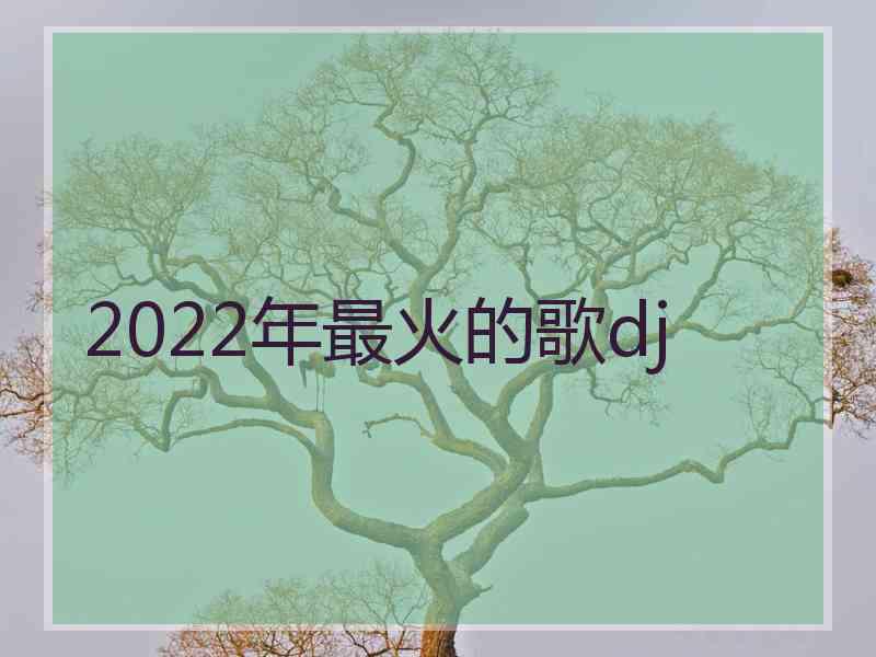 2022年最火的歌dj