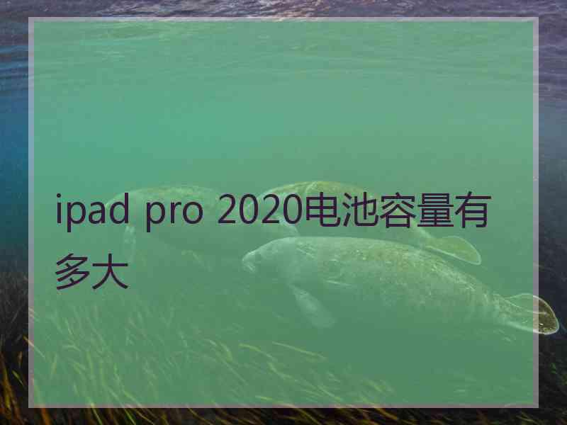 ipad pro 2020电池容量有多大