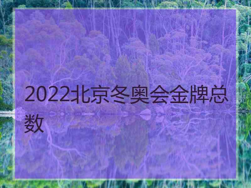 2022北京冬奥会金牌总数