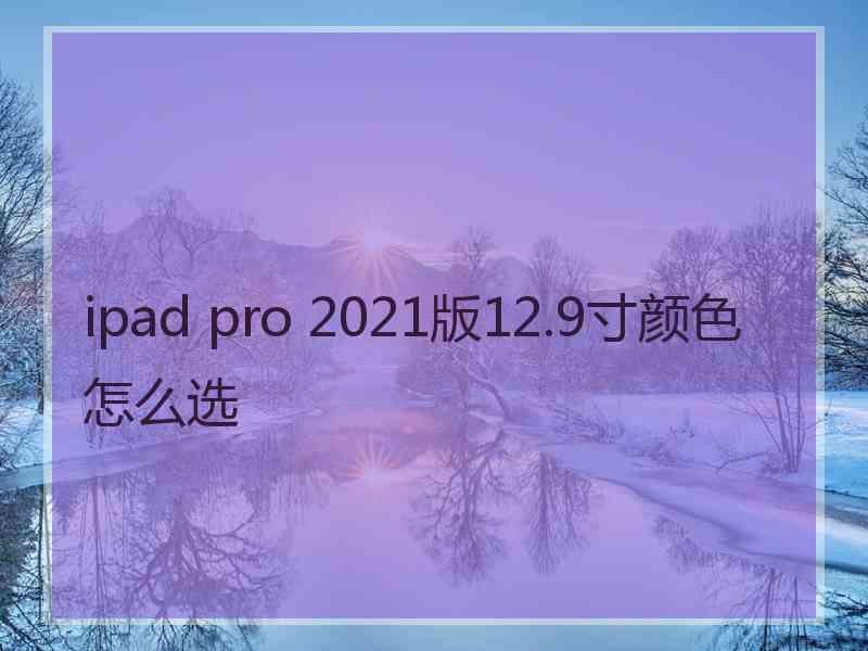 ipad pro 2021版12.9寸颜色怎么选