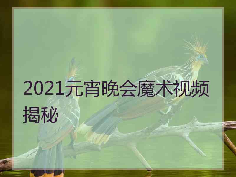 2021元宵晚会魔术视频揭秘