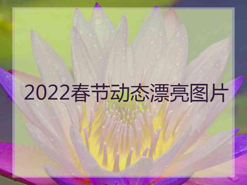 2022春节动态漂亮图片