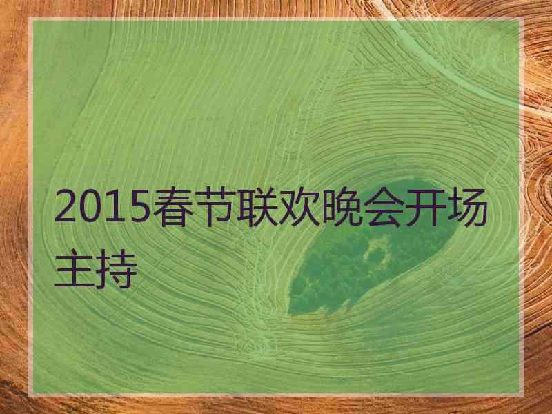 2015春节联欢晚会开场主持