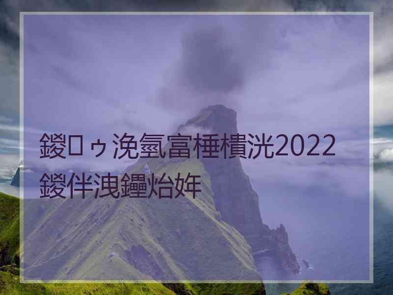 鍐ゥ浼氫富棰樻洸2022鍐伴洩鑸炲姩