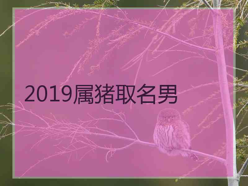 2019属猪取名男