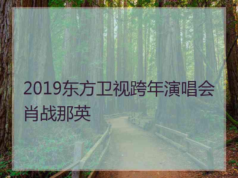 2019东方卫视跨年演唱会肖战那英