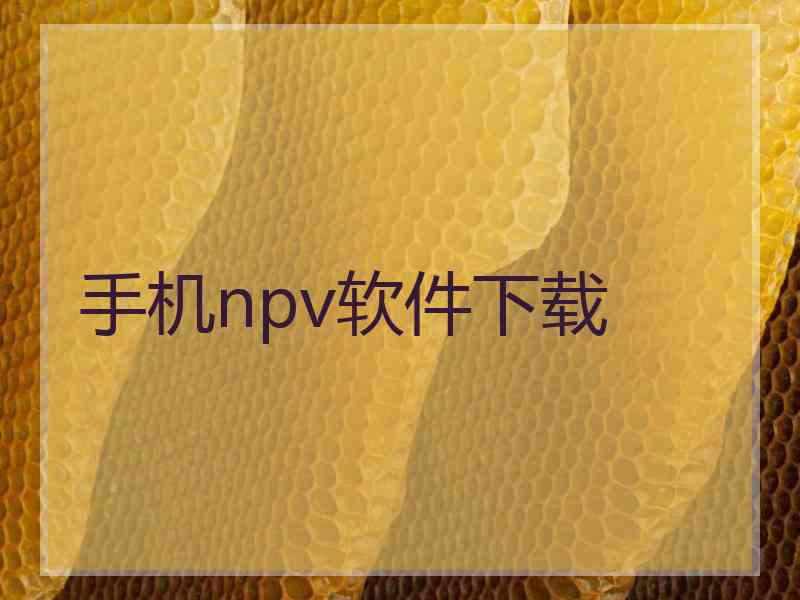 手机npv软件下载