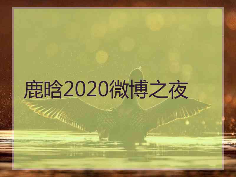 鹿晗2020微博之夜