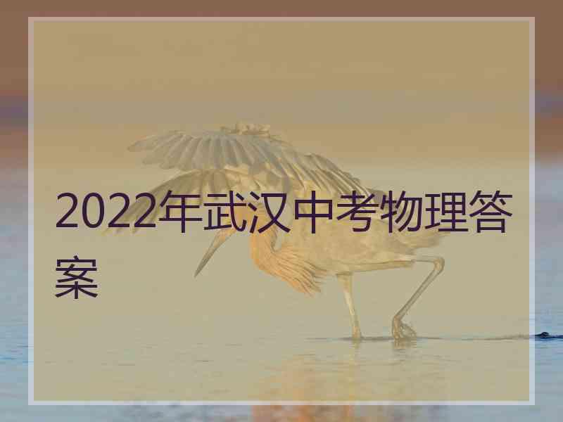 2022年武汉中考物理答案