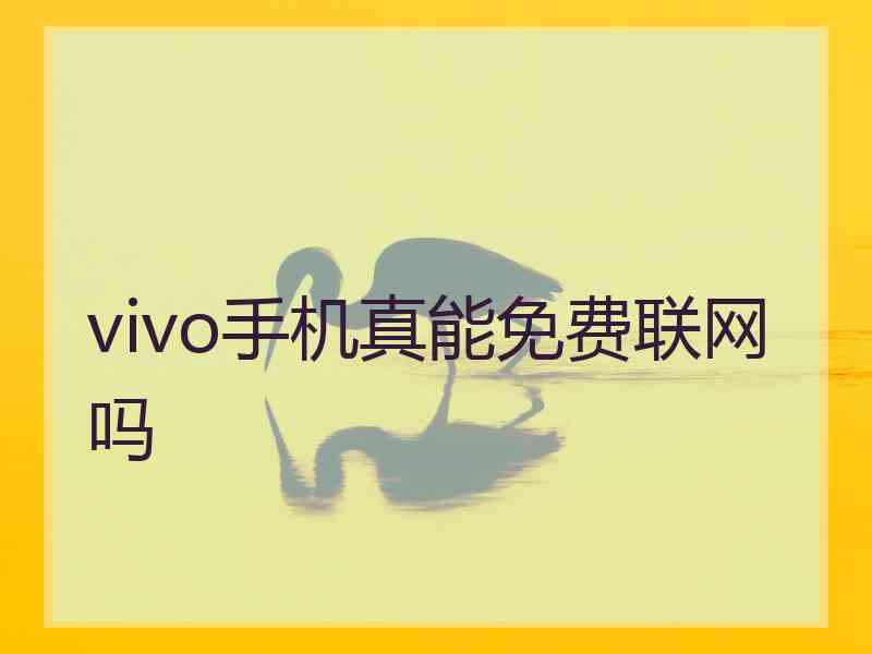 vivo手机真能免费联网吗