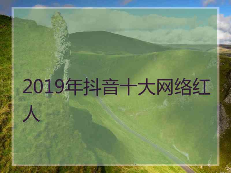 2019年抖音十大网络红人