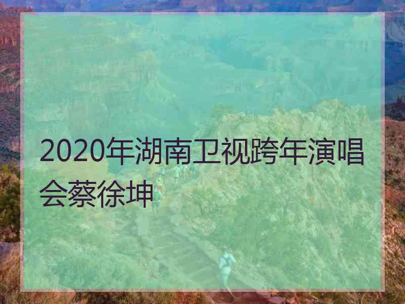 2020年湖南卫视跨年演唱会蔡徐坤