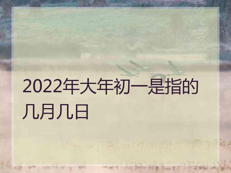 2022年大年初一是指的几月几日