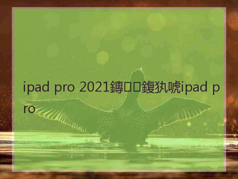 ipad pro 2021鏄鍑犱唬ipad pro