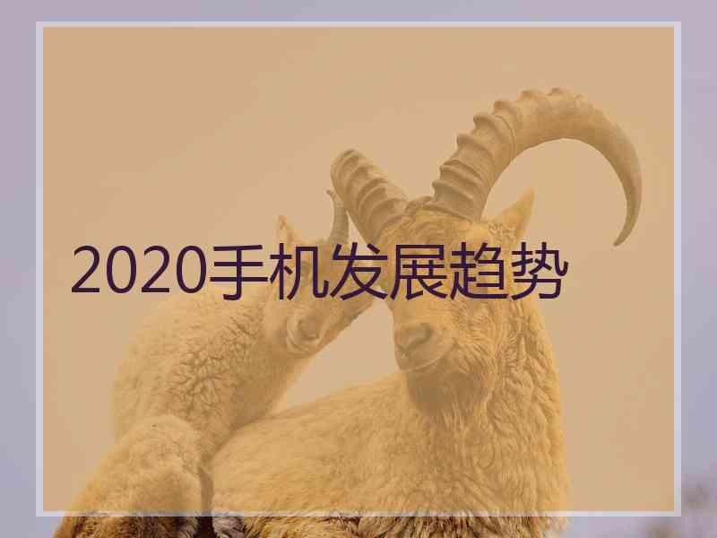 2020手机发展趋势