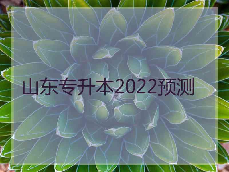 山东专升本2022预测