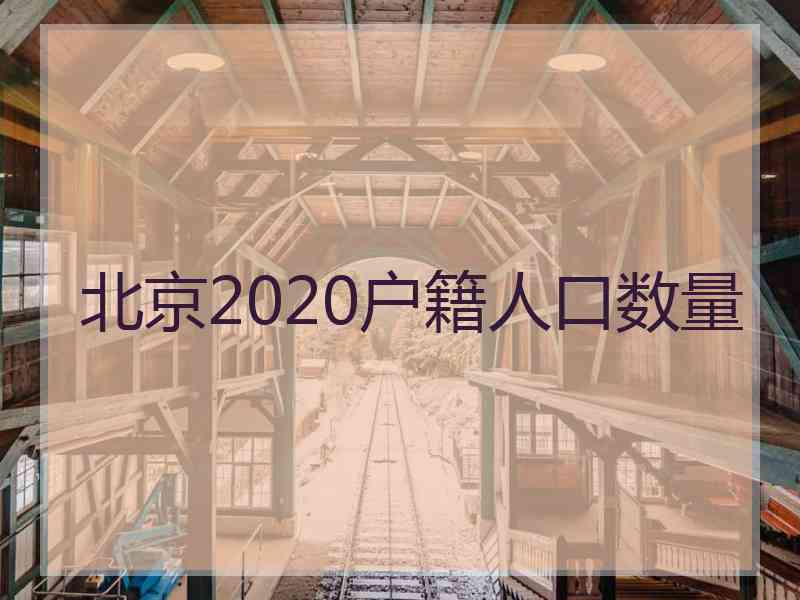 北京2020户籍人口数量