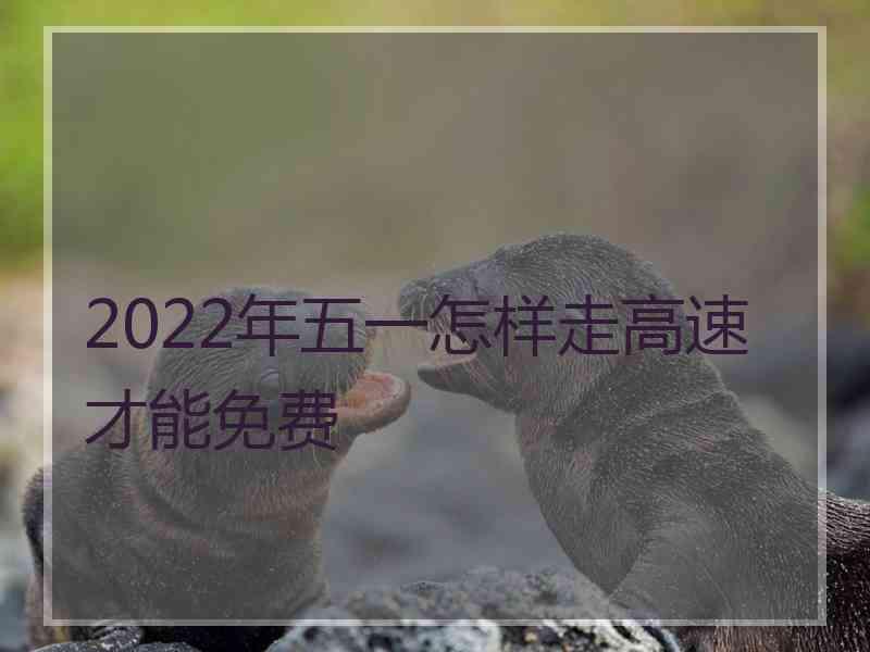 2022年五一怎样走高速才能免费