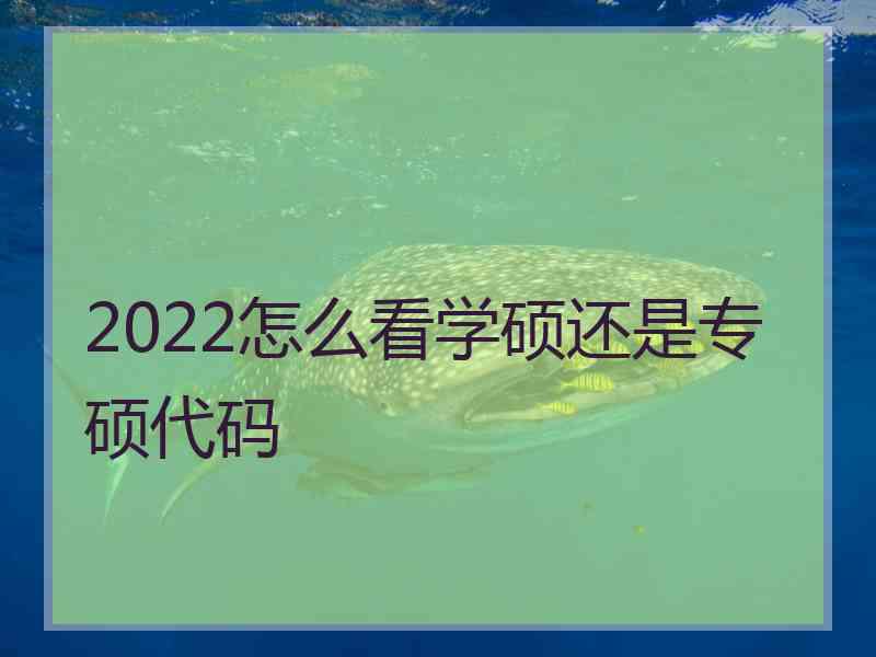 2022怎么看学硕还是专硕代码