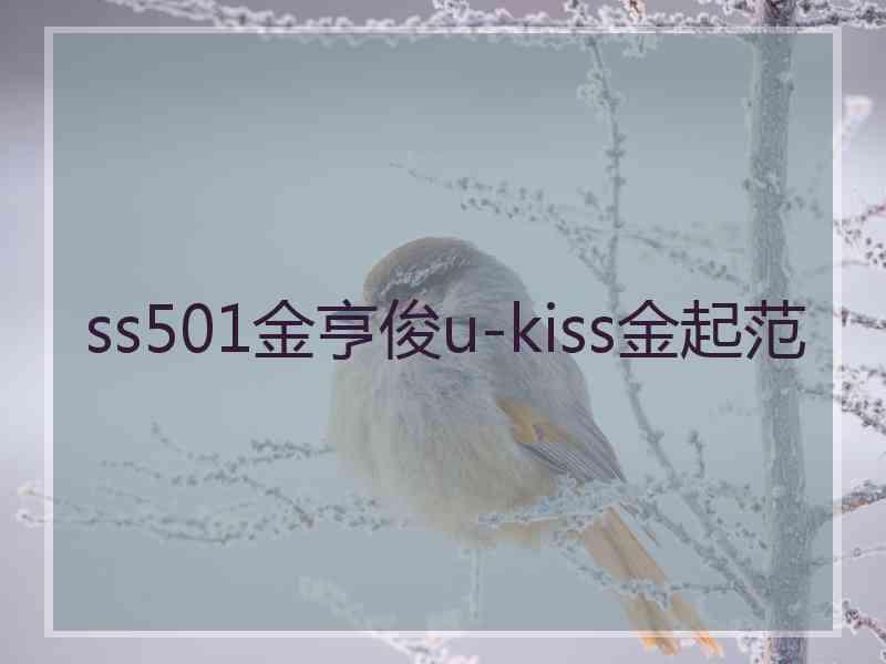 ss501金亨俊u-kiss金起范