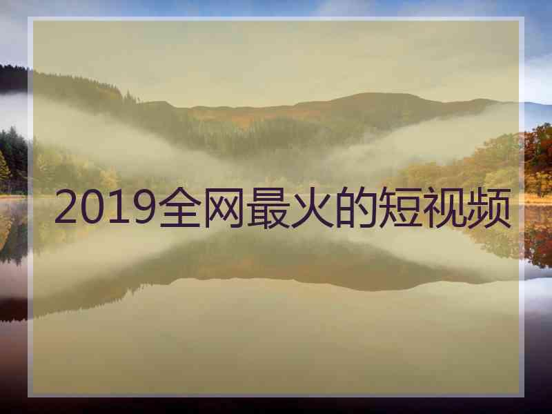 2019全网最火的短视频