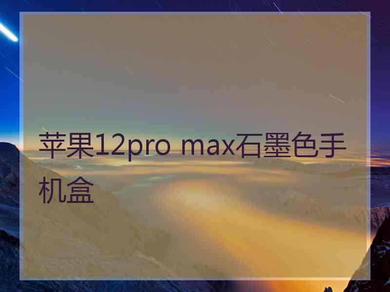 苹果12pro max石墨色手机盒