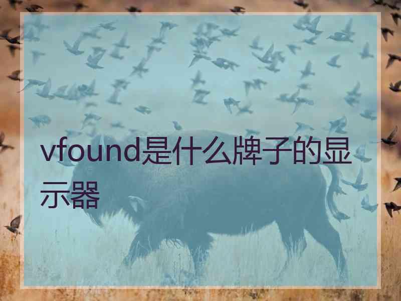 vfound是什么牌子的显示器