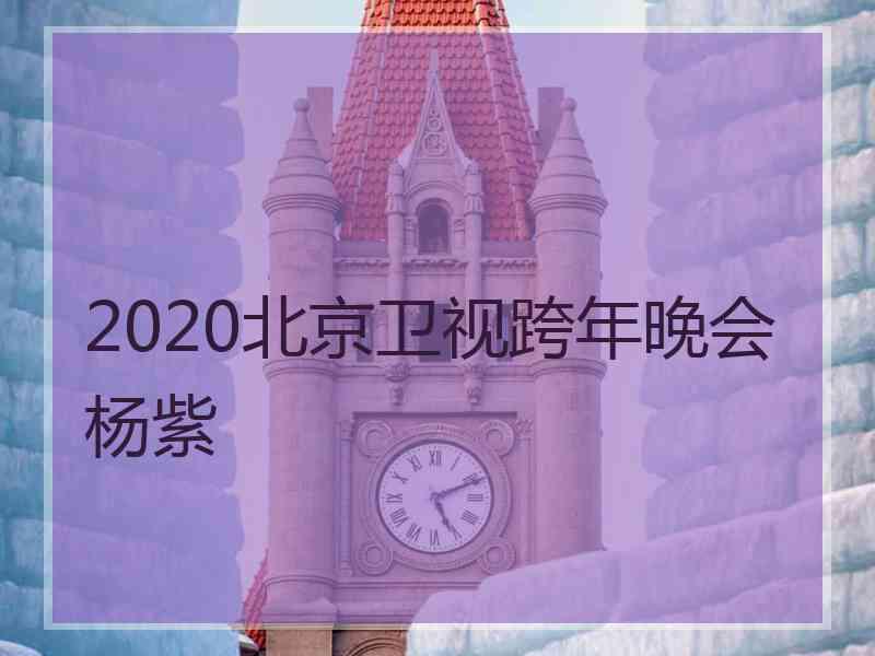 2020北京卫视跨年晚会杨紫