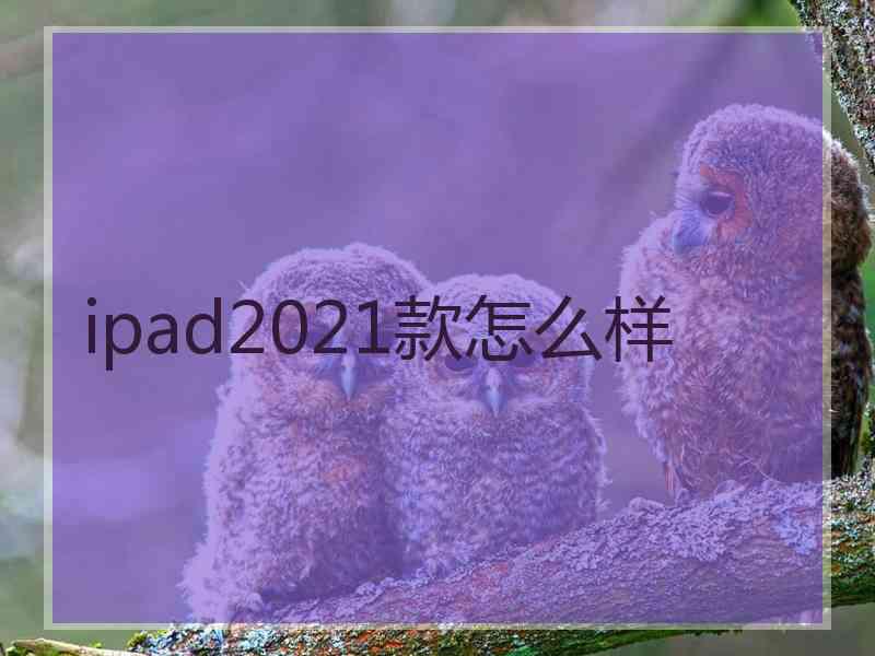 ipad2021款怎么样