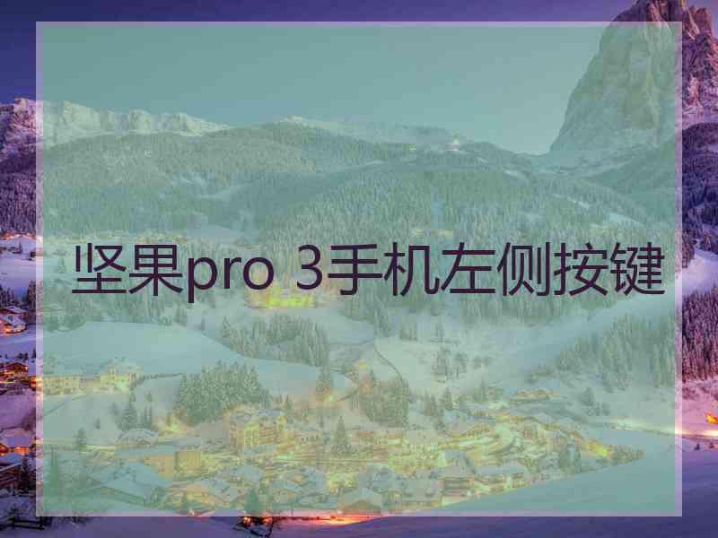 坚果pro 3手机左侧按键